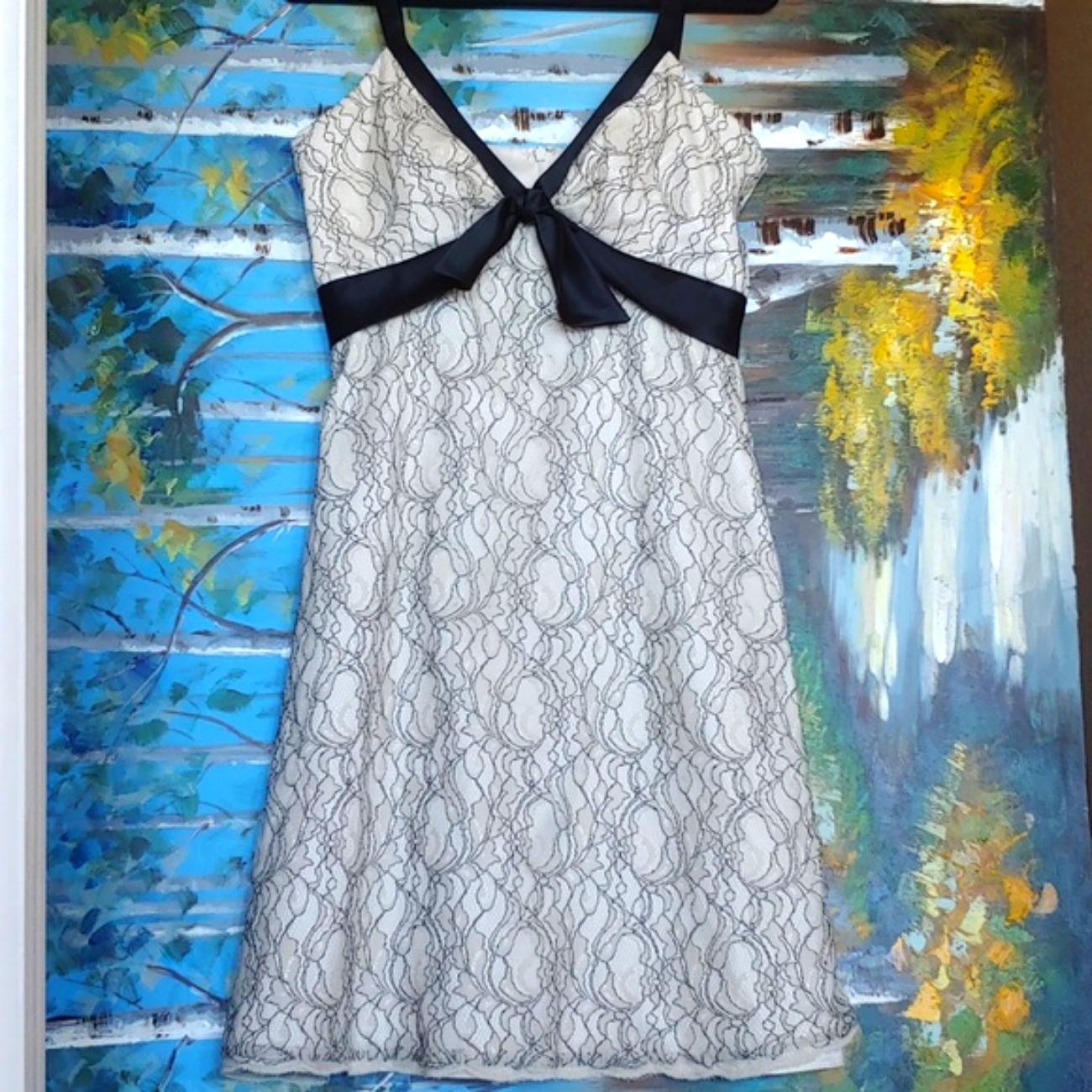 Whbm Lace Overlay Dress W/ Front Bow